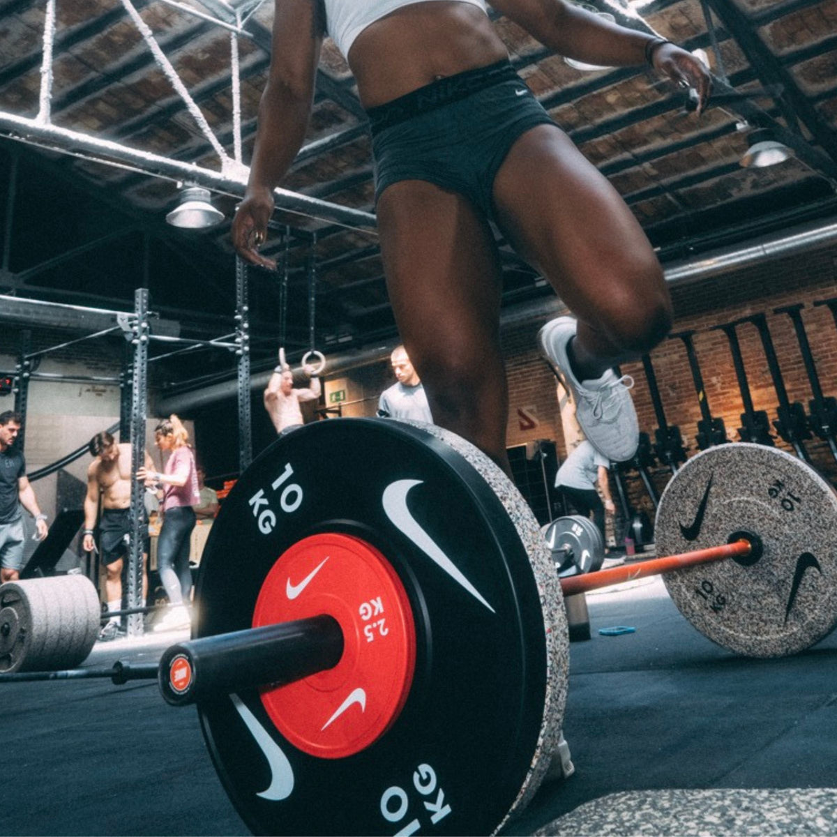 Dischi Frazionali di Precisione