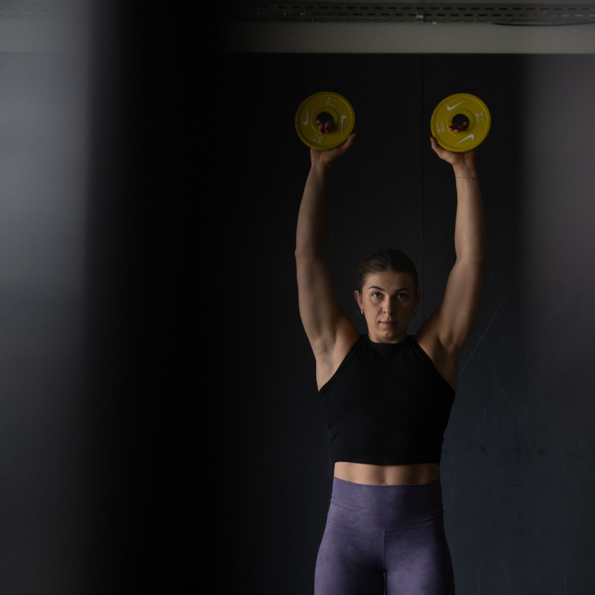 Dischi Frazionali di Precisione