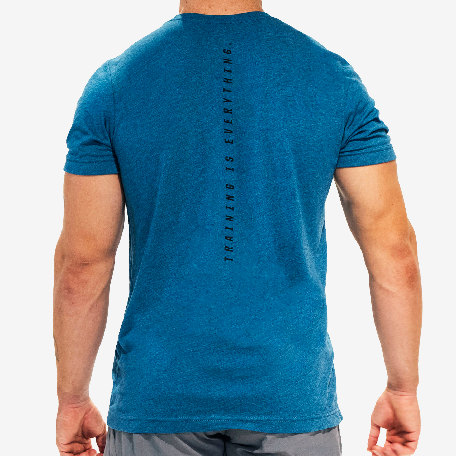 FITTEST FREAKEST T-SHIRT FFLOGOTRAIN-STEELBLUE