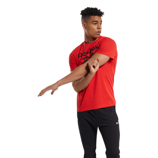 REEBOK GRAPHIC SERIES STACKED TEE IEH23-FP9148