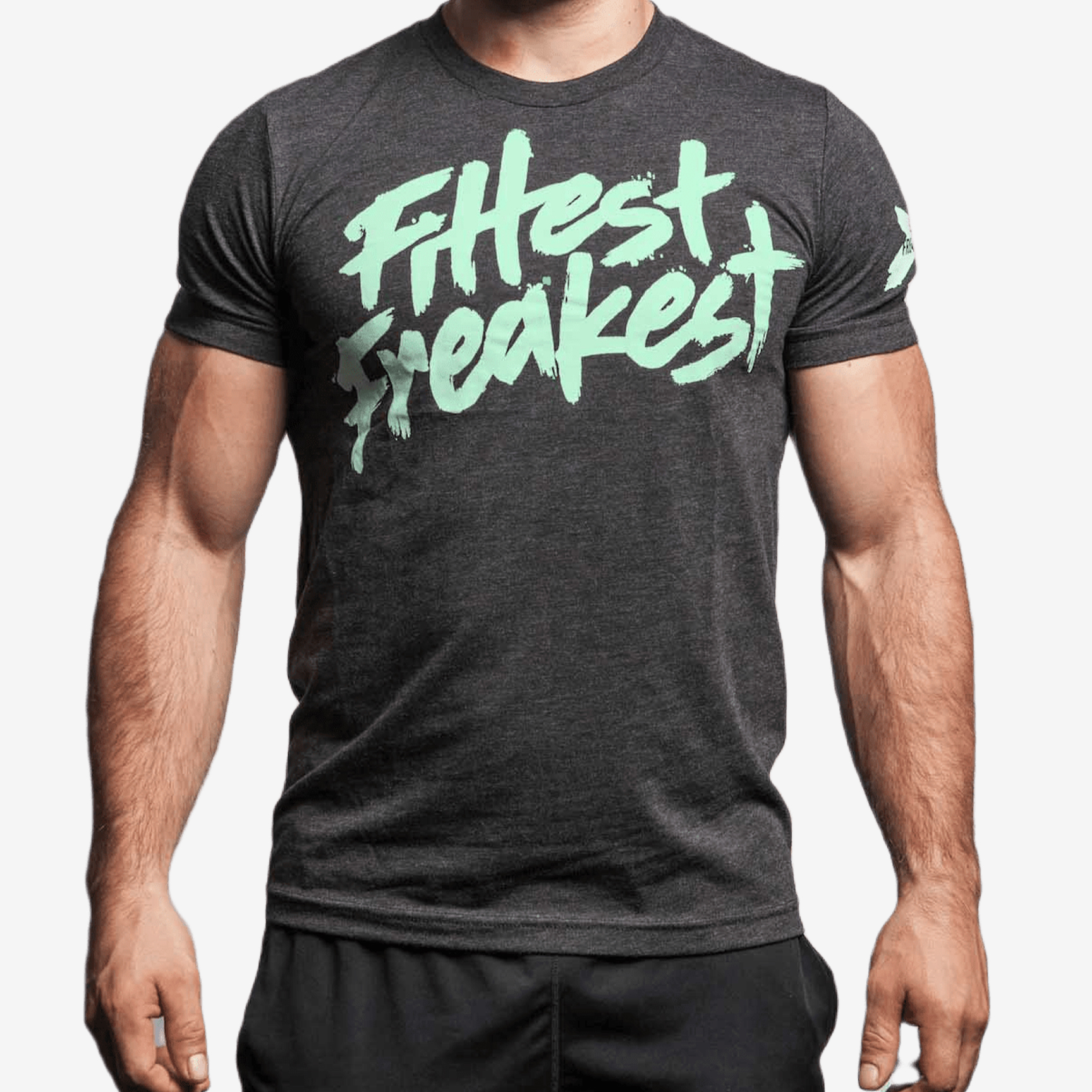 FITTEST FREAKEST T-SHIRT FF-LOGO-Gris