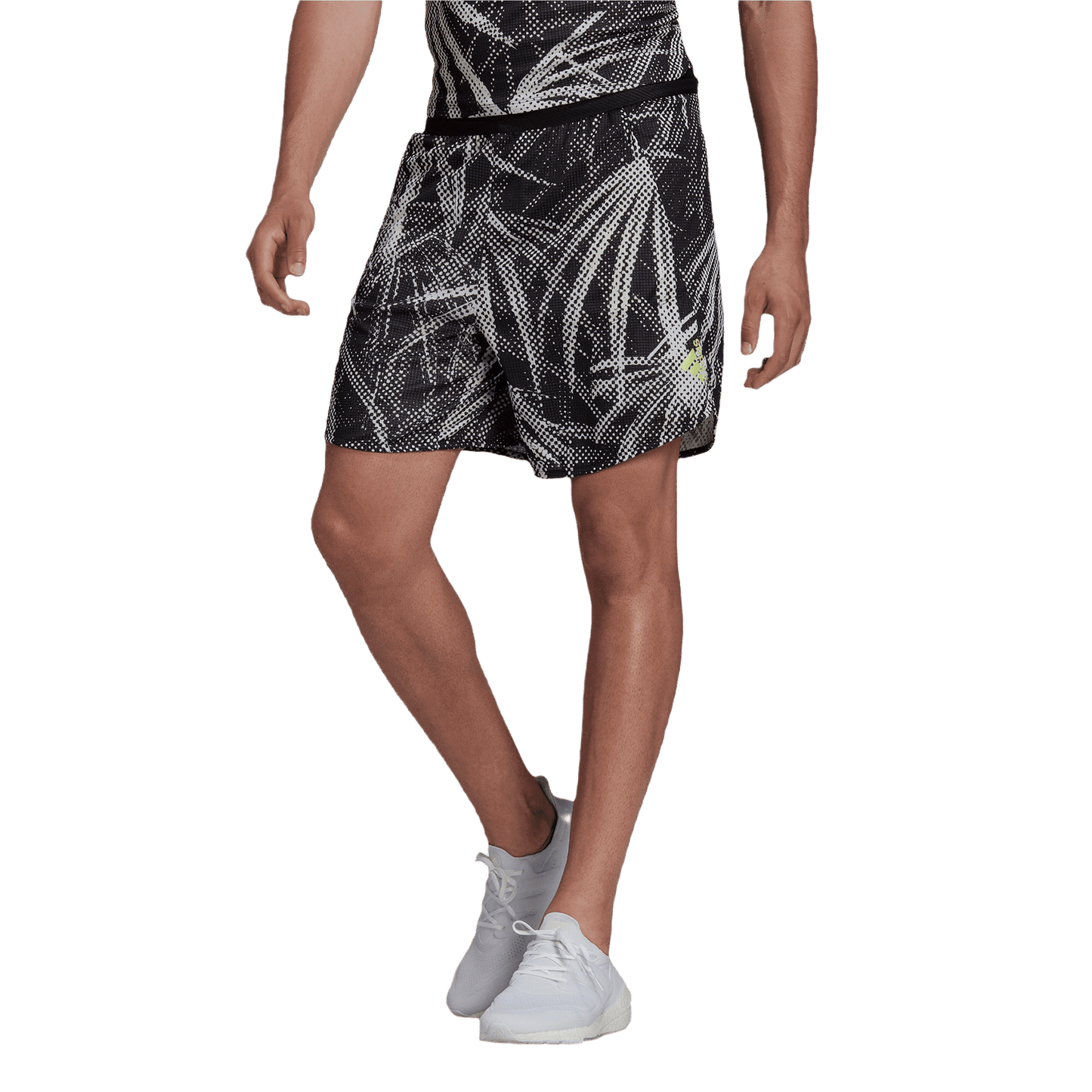 SHORT ADIDAS D4T GFX LOD4P-HB6519