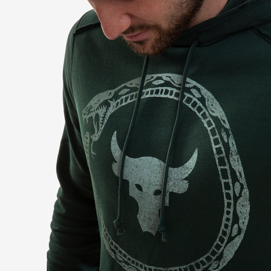 UNDER ARMOUR PROJECT ROCK TERRY SNAKE HOODIE 1361747-384